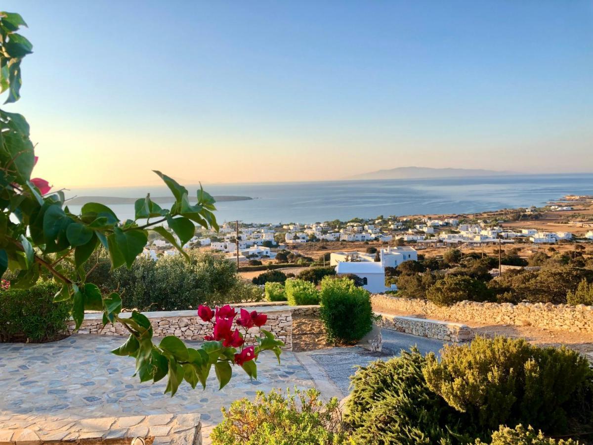 Villa Rossi Paros Luxury Apartments And Suites دريوس المظهر الخارجي الصورة