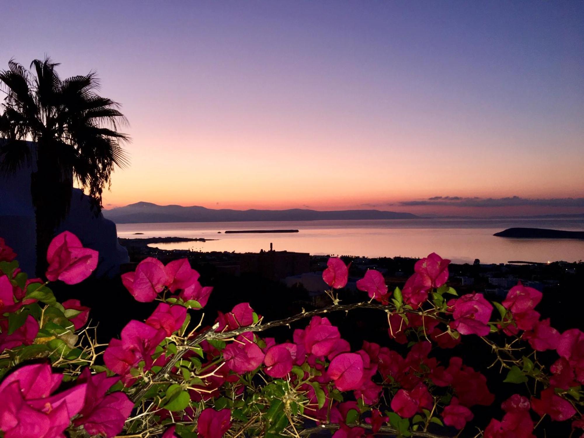 Villa Rossi Paros Luxury Apartments And Suites دريوس المظهر الخارجي الصورة