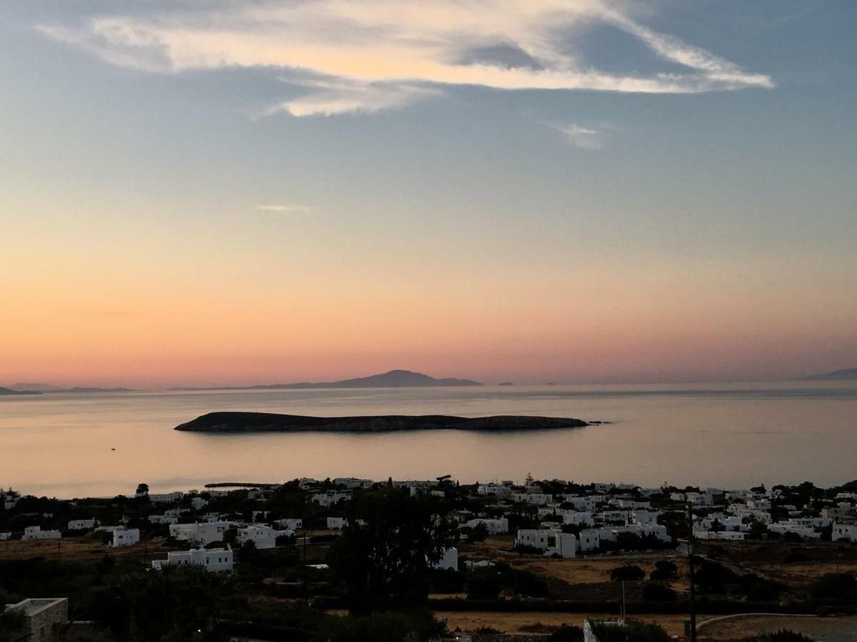 Villa Rossi Paros Luxury Apartments And Suites دريوس المظهر الخارجي الصورة